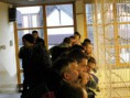 /album/fenykepgaleria/teli-kupa-kepekben-2013-14-071-jpg/
